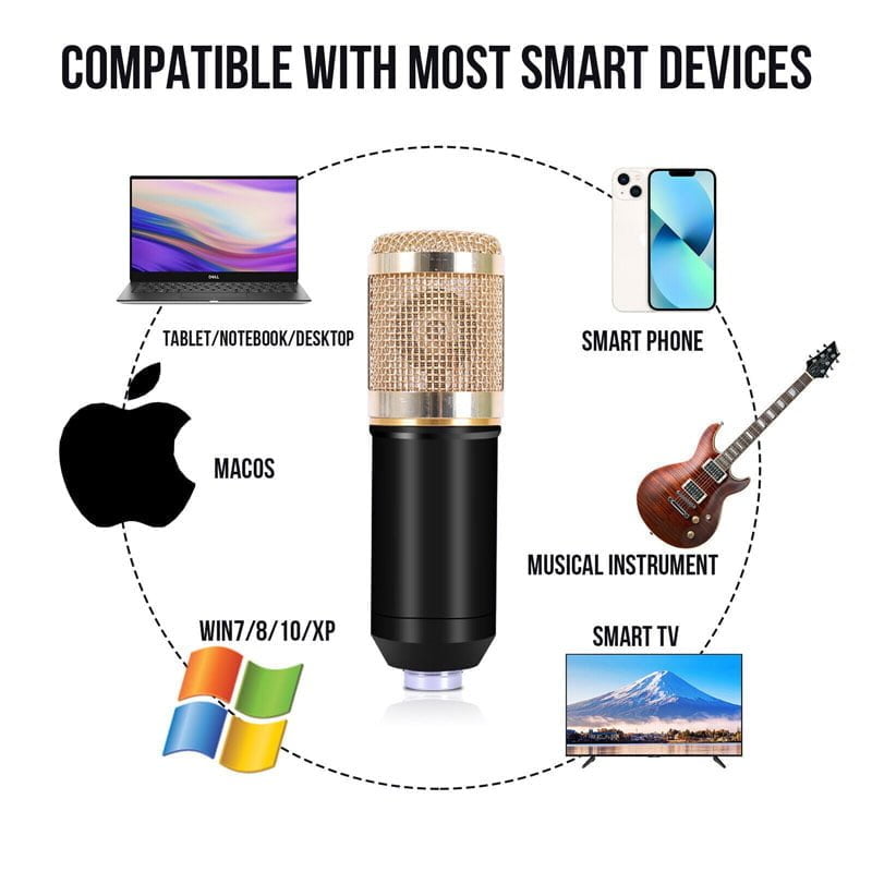 Επαγγελματικό Πυκνωτικό Μικρόφωνο - Professional Condenser Microphone
