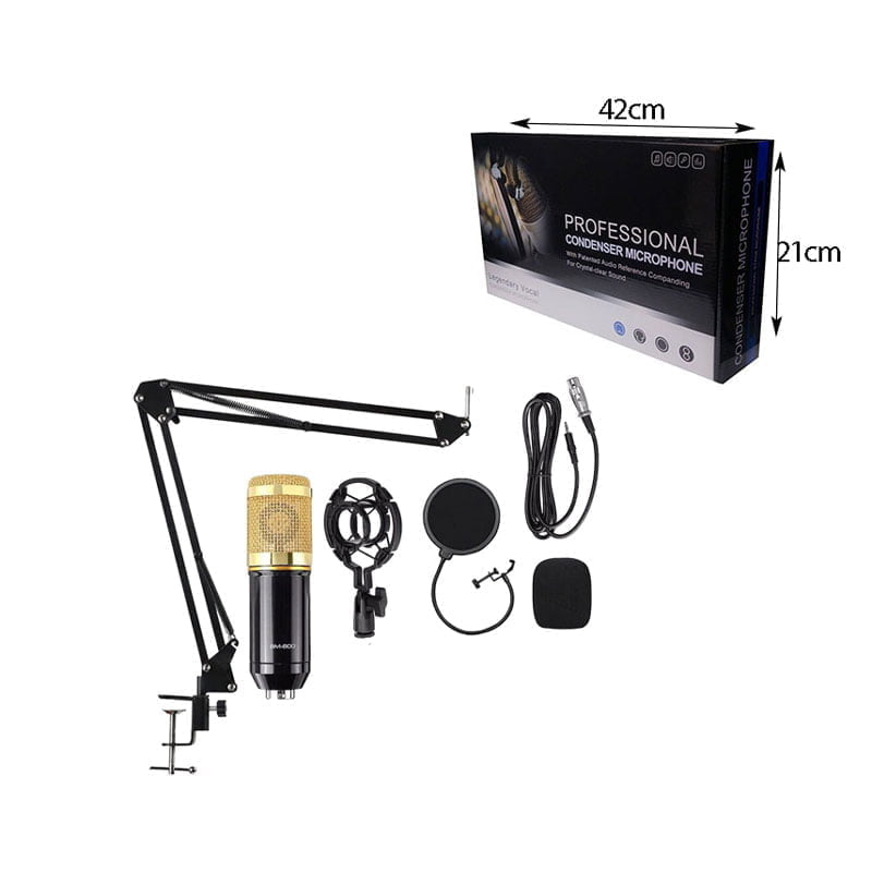 Επαγγελματικό Πυκνωτικό Μικρόφωνο - Professional Condenser Microphone