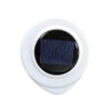Ηλιακό Φωτιστικό Εξωτερικού Χώρου 48cm XF-2017 - Solar garden light